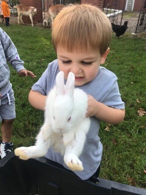 At the Petting Zoo